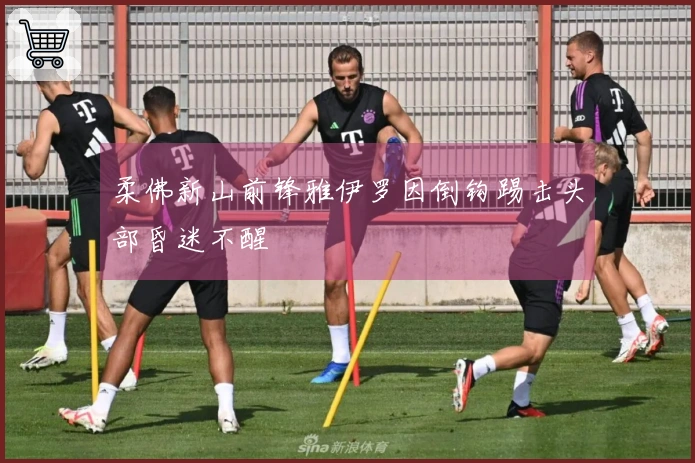 柔佛新山前锋雅伊罗因倒钩踢击头部昏迷不醒